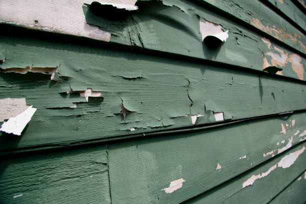 Best Siding for New Construction  in Dayton, WA